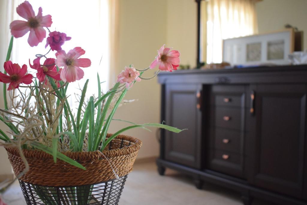 Olive Villas Anapaftiria ภายนอก รูปภาพ